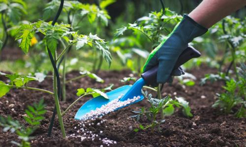 Fertilizer Registration