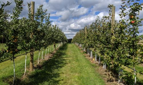 Agricultural Regulatory