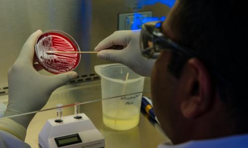 This photograph depicted an Enteric Diseases Laboratory Branch (EDLB) public health scientist, preparing foodborne bacteria for a DNA fingerprinting test.