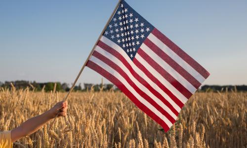 American flag over wheat field