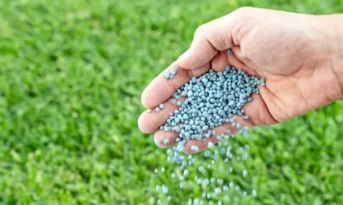 Fertilizer in hand 