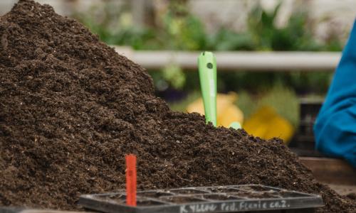 Seeding tray in front of a pile of potting mix