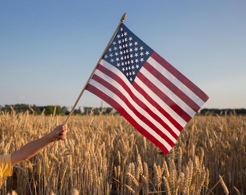 American flag over wheat field